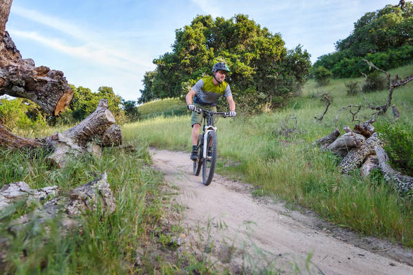 Mountain Biker Riding on a Singletrack Bike Trail