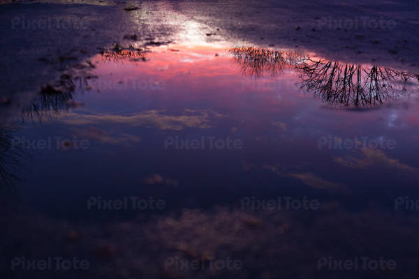 Dramatic Sunset Reflecting in the Water Puddle on a Street