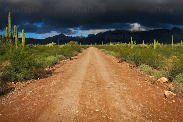 Road Going Through Sonoran Desert with Dramatic Stormy Clouds Above