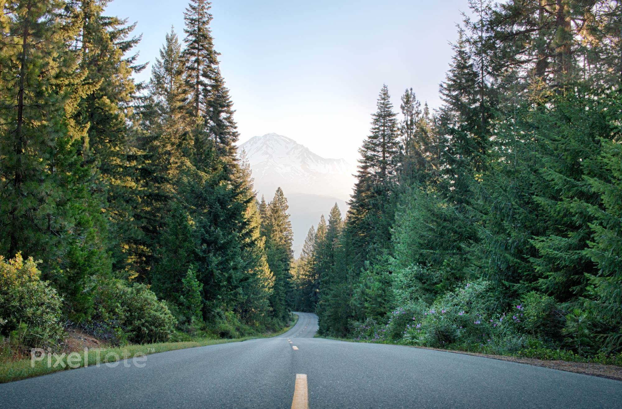 Road Through the Forest and a Mountain with Morning Mist Stock Photo