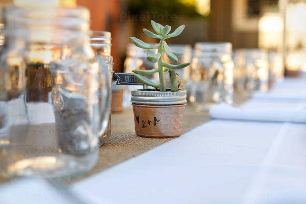 Detailed View of a Succulent Plant on a Table with Wedding Setting