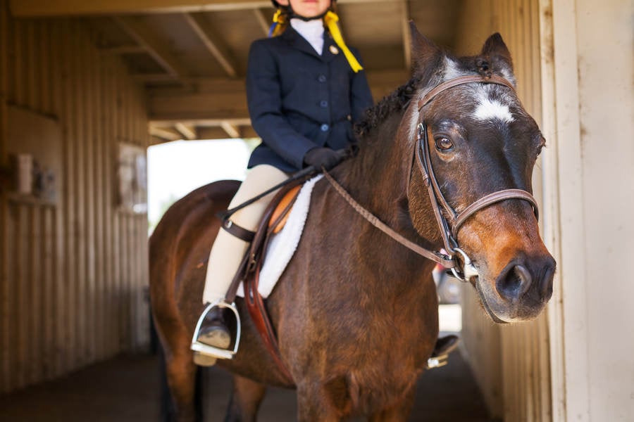 girls english riding clothes