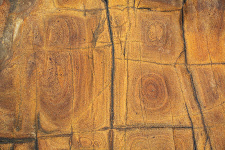 Detailed View of a Natural Pattern on a Rock