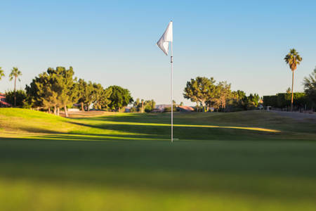 Low-Angle View of Flag in a Golf Course
