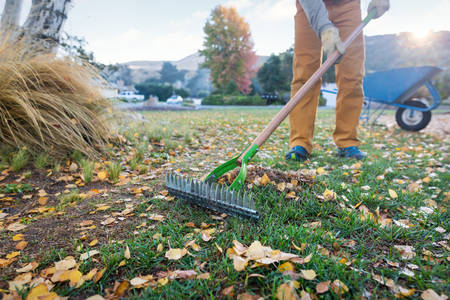 Man Raking Leaves in Front of His House