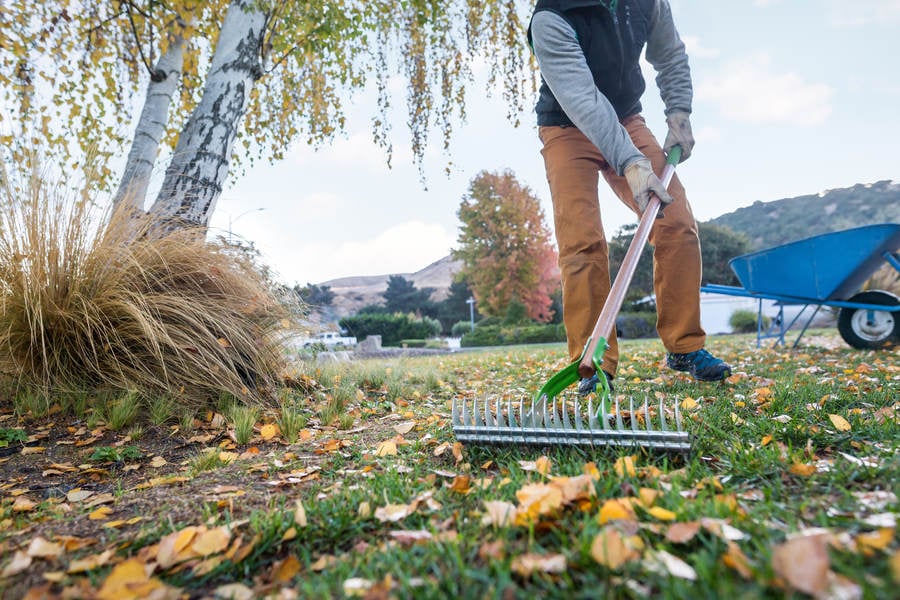 man-doing-a-yard-work-in-fall-stock-photo-pixeltote