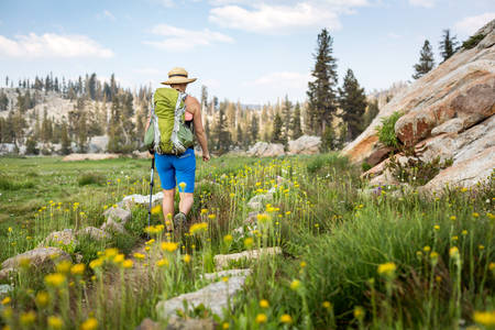 Female Backpacker Hiking Through an Alpine Meadow with Blooming Wild Flowers