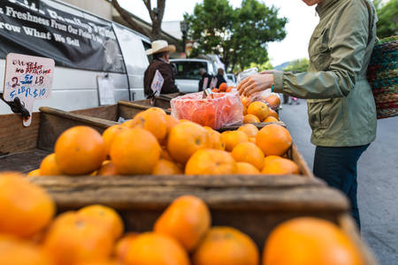 Woman Shopping for Fresh Oranges at a Farmers Market