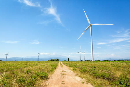 Dirt Road Leading to Wind Turbines in a Field in a Countryside