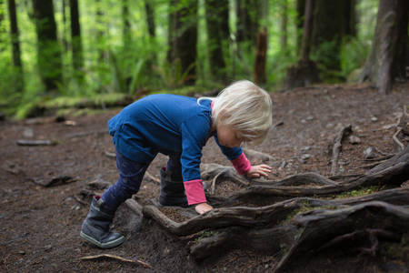 Toddler Girl Exploring Tree Roots in Woods
