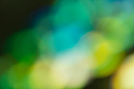 Defocused Abstract Green Lights on a Dark Background