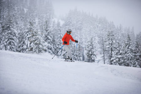 Female Skier in a Red Jacket in Slightly Whiteout Conditions