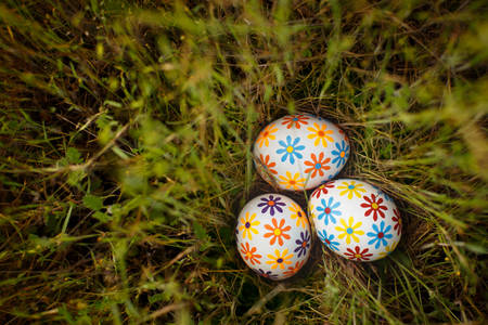 Grass with Easter Eggs Decorated with Flower Petal Stickers