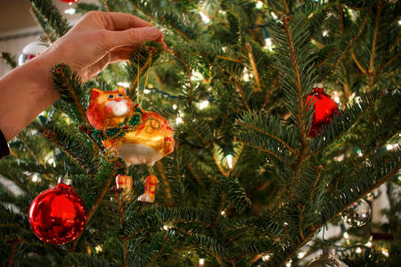 Woman Hanging Ornament on a Christmas Tree