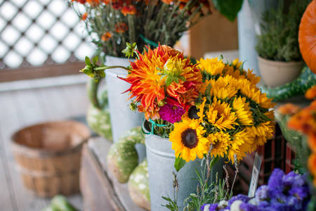 Bouquet of Flowers at a Farm Stand