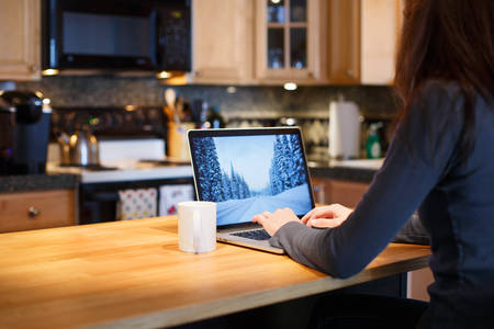 Woman Remotely Working from Home on a Laptop