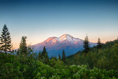 Scenic View of Mt. Shasta in California During Sunset