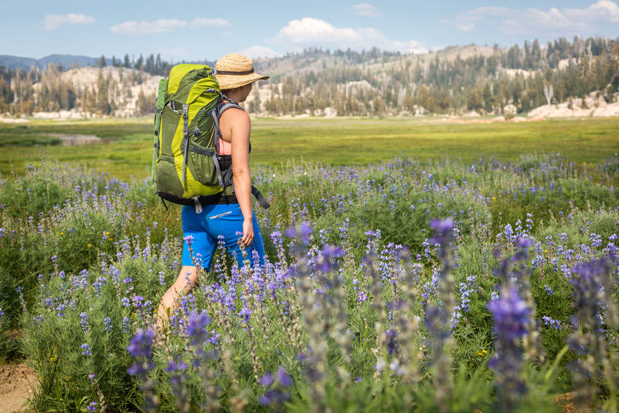 Young Woman with a Backpack Hiking Stock Photo PixelTote