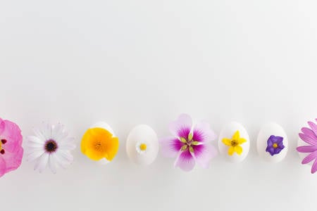 Easter Eggs Decorated with Flower Petals on a White Background