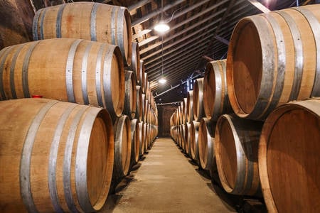 Aisle in a Wine Cellar with Stacked Barrels
