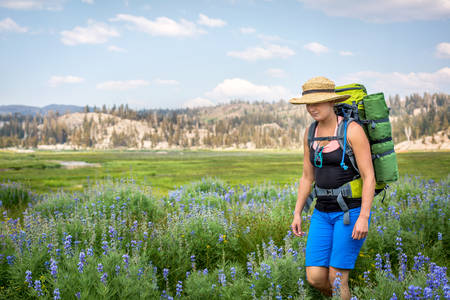Young Woman Hiking on a Trail Through an Alpine Meadow