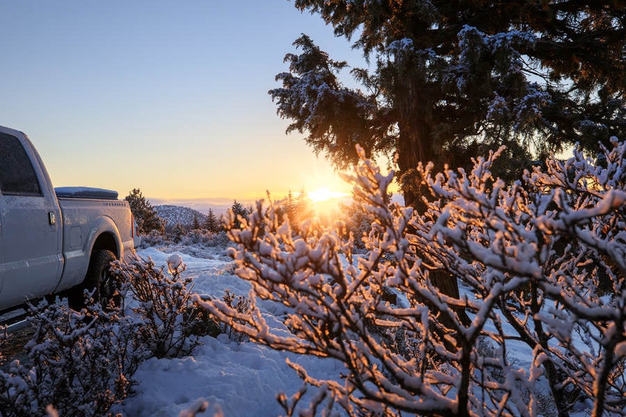 Winter Sunrise with Snow-Covered Trees and a White Pickup ...