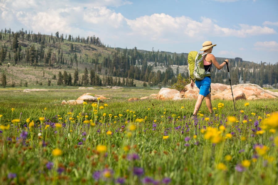 Female Backpacker Hiking Through Stock Photo - PixelTote