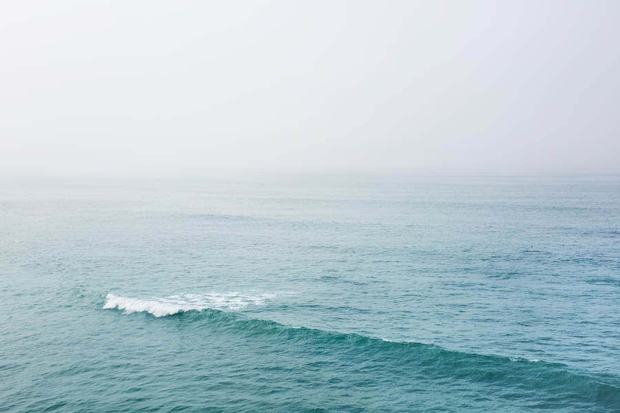 Misty Morning on the Ocean Coast Stock Photo - PixelTote