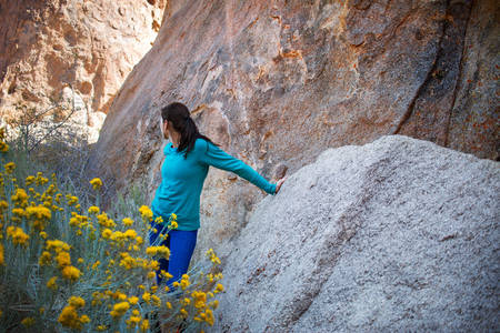 Female Hiker Resting Around Rocks at a Crag with Yellow Flowers in the Foreground
