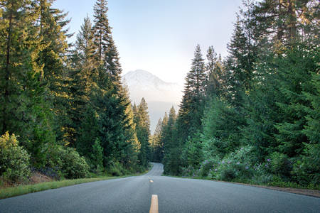 Middle-Of-The-Road View of a Distant Mountain with Trees on Both Sides