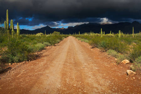 Road Going Through Sonoran Desert with Dramatic Stormy Clouds Above