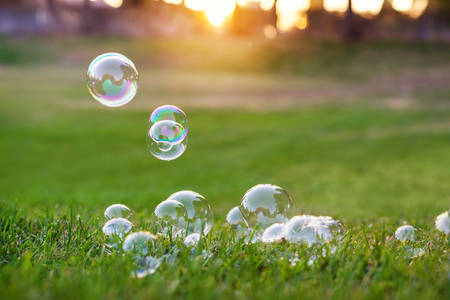 Soap Bubbles Landing in the Grass during Sunset