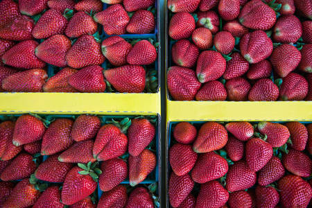 Fresh Ripe Strawberries for Sale Arranged in Small Baskets