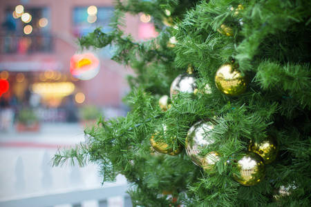 Close-Up View of a Decorated Christmas Tree on the Street