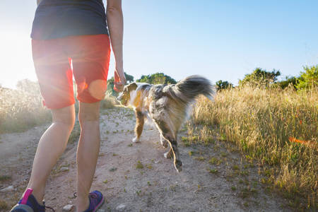 Low-Angle View of a Woman Walking a Dog