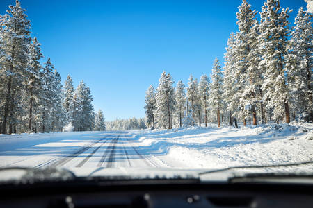 View from a Car Driving Through a Freshly Plowed Winter Road