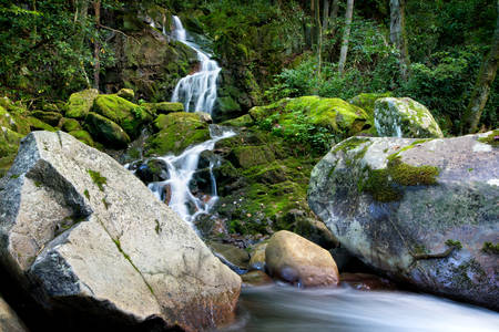 View of a Waterfall with Large Boulders Surrounded by Green Foliage